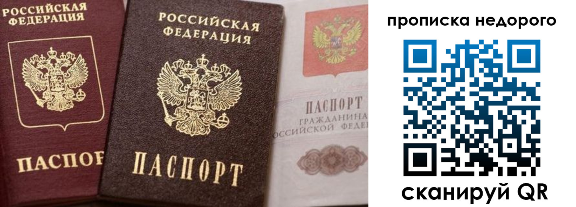 временная регистрация надежно в Гатчине